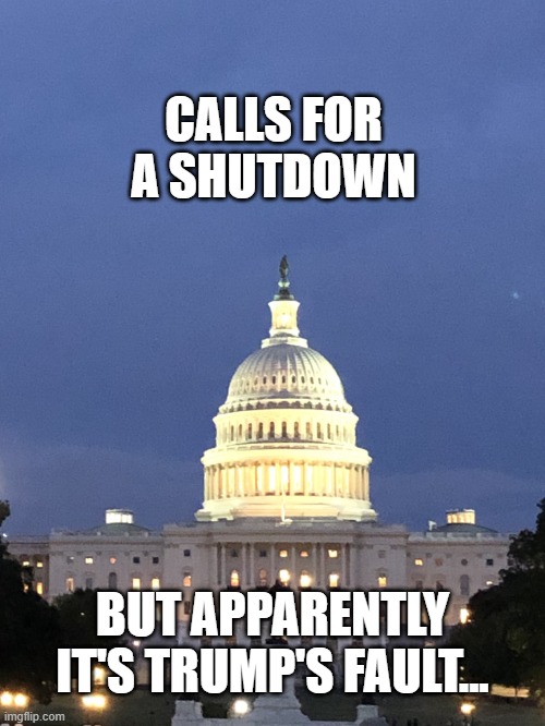 Don't blame my president | CALLS FOR A SHUTDOWN; BUT APPARENTLY IT'S TRUMP'S FAULT... | image tagged in capitol building washington dc,government | made w/ Imgflip meme maker