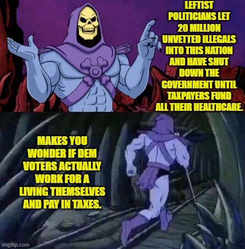 It does make one wonder just a bit. | LEFTIST POLITICIANS LET 20 MILLION UNVETTED ILLEGALS INTO THIS NATION AND HAVE SHUT DOWN THE GOVERNMENT UNTIL TAXPAYERS FUND ALL THEIR HEALTHCARE. MAKES YOU WONDER IF DEM VOTERS ACTUALLY WORK FOR A LIVING THEMSELVES AND PAY IN TAXES. | image tagged in he man skeleton advices | made w/ Imgflip meme maker
