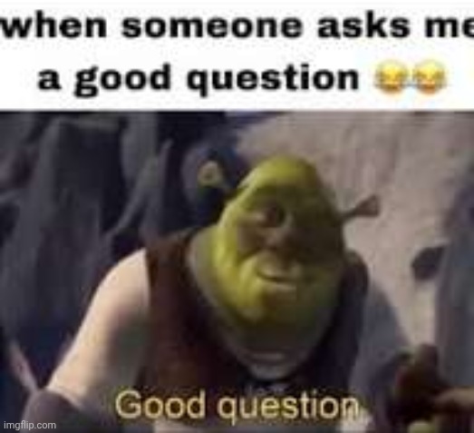 image tagged in good question | made w/ Imgflip meme maker