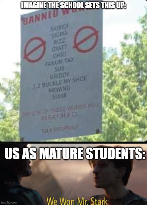 Add 6 7 to the list, and those brainrotted kids are done Done DONE! No reference intended! | IMAGINE THE SCHOOL SETS THIS UP:; US AS MATURE STUDENTS: | image tagged in we won mr stark,memes,funny,school,brainrot,oh wow are you actually reading these tags | made w/ Imgflip meme maker