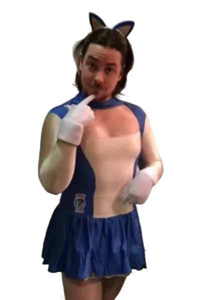 Arin Sonic Blank Meme Template
