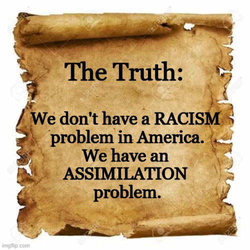 Unity of American Values and Culture | The Truth:; We don't have a RACISM 
problem in America.
We have an 
ASSIMILATION 
problem. | image tagged in assimilation,unity,culture,americans,values,no racism | made w/ Imgflip meme maker