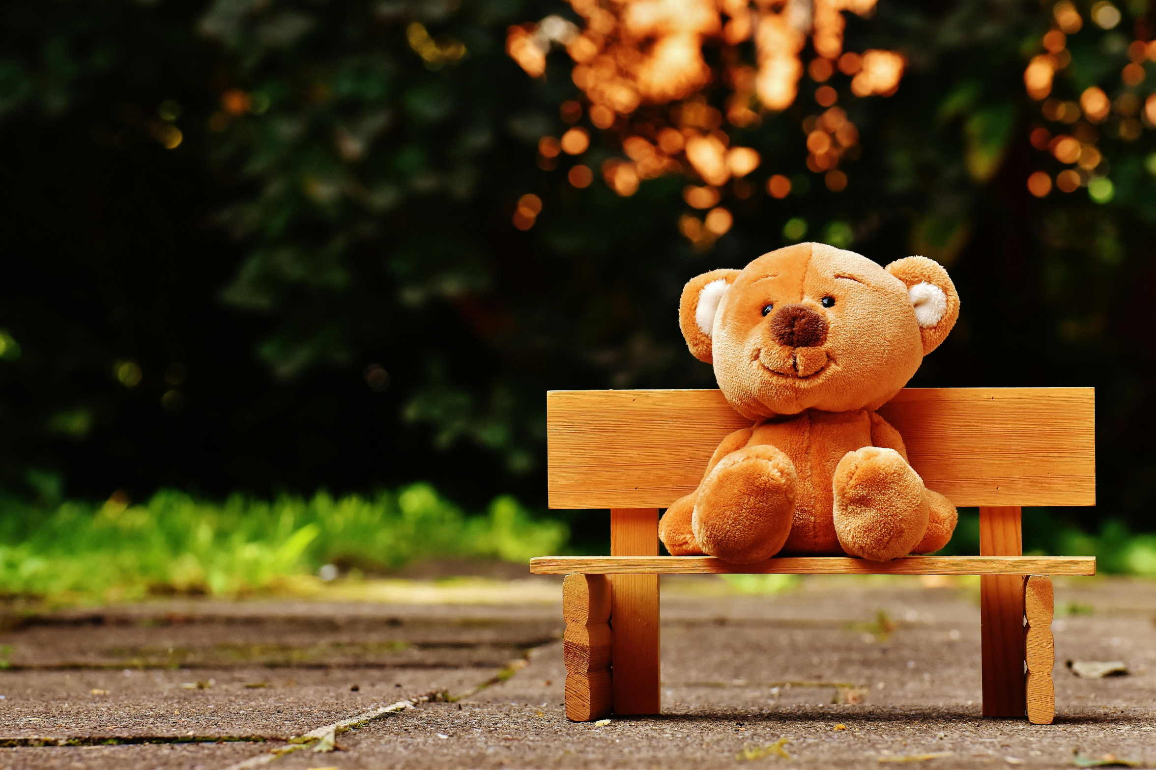teddy bear on bench Blank Meme Template