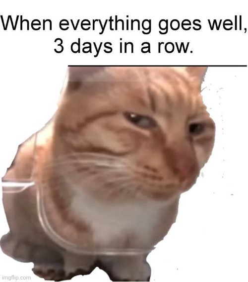 Thatz suspicious | image tagged in memez | made w/ Imgflip meme maker