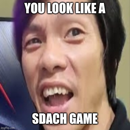 Sdach Game | YOU LOOK LIKE A; SDACH GAME | image tagged in sdach game,memes | made w/ Imgflip meme maker