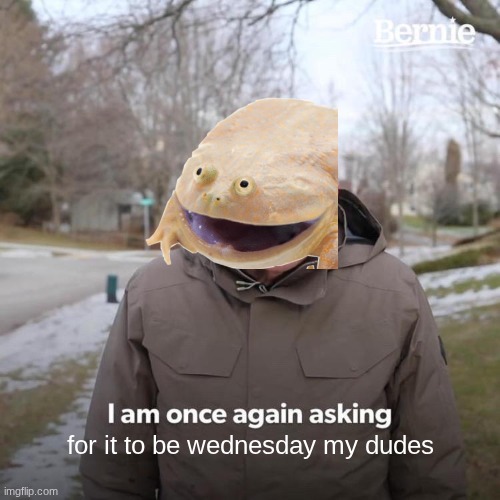 wednesday | for it to be wednesday my dudes | image tagged in memes,bernie i am once again asking for your support | made w/ Imgflip meme maker