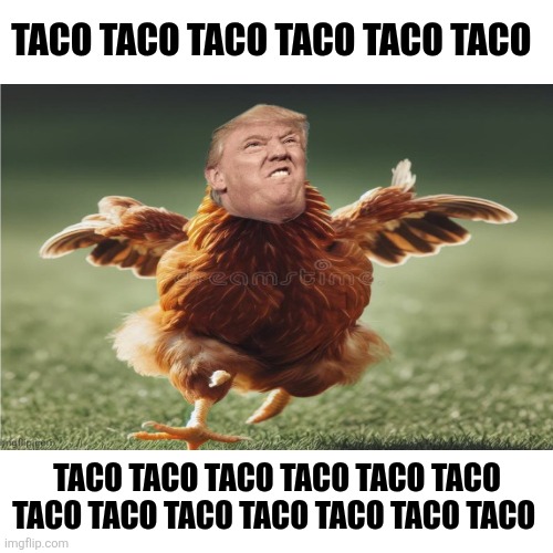Blank Transparent Square Meme | TACO TACO TACO TACO TACO TACO TACO TACO TACO TACO TACO TACO TACO TACO TACO TACO TACO TACO TACO | image tagged in memes,blank transparent square | made w/ Imgflip meme maker
