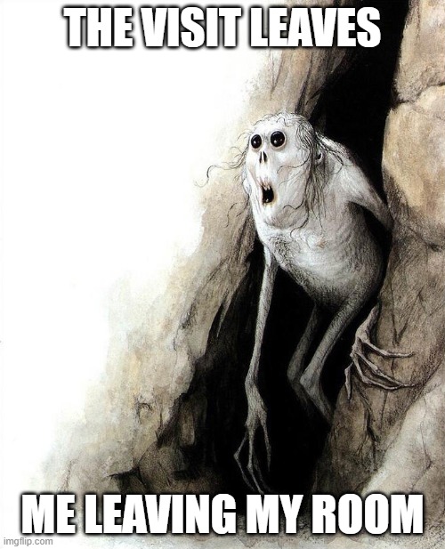 Mom? Dad? Friends? | THE VISIT LEAVES; ME LEAVING MY ROOM | image tagged in mom dad friends | made w/ Imgflip meme maker