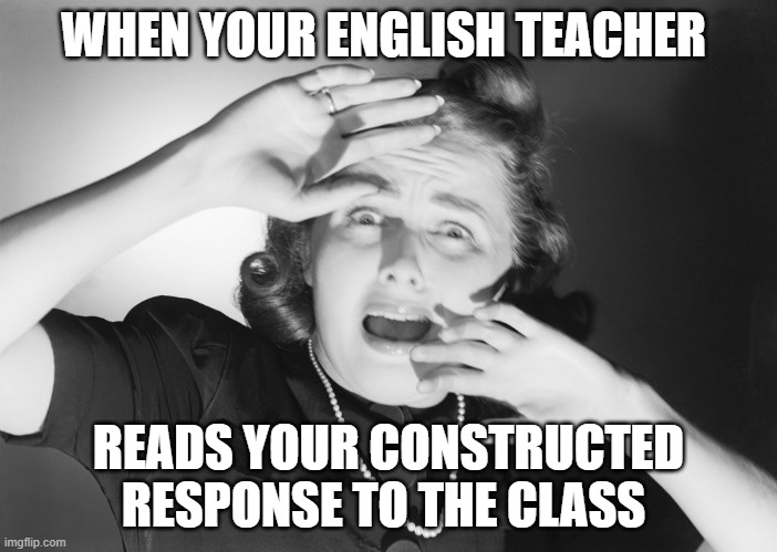 Student Writing | WHEN YOUR ENGLISH TEACHER; READS YOUR CONSTRUCTED RESPONSE TO THE CLASS | image tagged in terrified woman screaming,english teachers,literature,essays | made w/ Imgflip meme maker