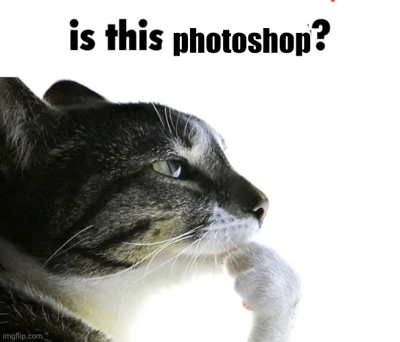 Is this ragebait? | photoshop | image tagged in is this ragebait | made w/ Imgflip meme maker