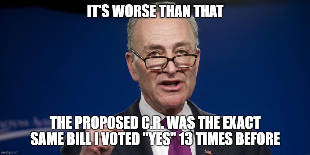 chuck Schumer | IT'S WORSE THAN THAT THE PROPOSED C.R. WAS THE EXACT SAME BILL I VOTED "YES" 13 TIMES BEFORE | image tagged in chuck schumer | made w/ Imgflip meme maker