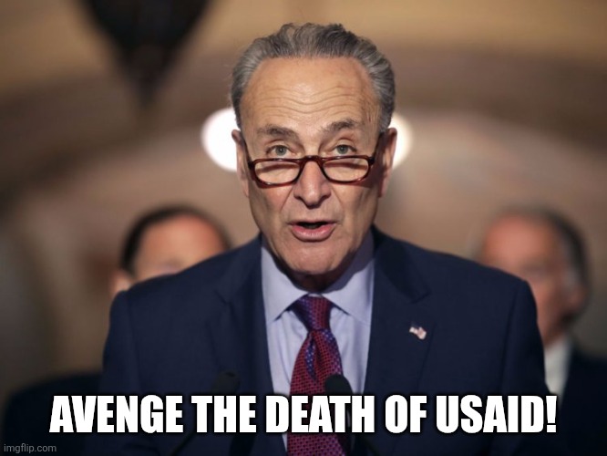 Idiot Chuck Schumer! | AVENGE THE DEATH OF USAID! | image tagged in idiot chuck schumer | made w/ Imgflip meme maker