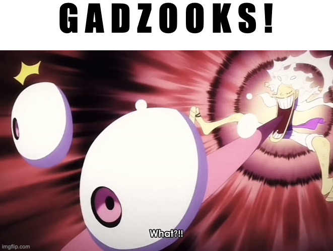 me when | G A D Z O O K S ! | image tagged in what,one piece | made w/ Imgflip meme maker