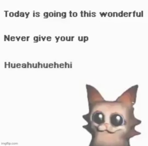 I'm about to get all four wisdom tooths removed | image tagged in today is going to this wonderful | made w/ Imgflip meme maker