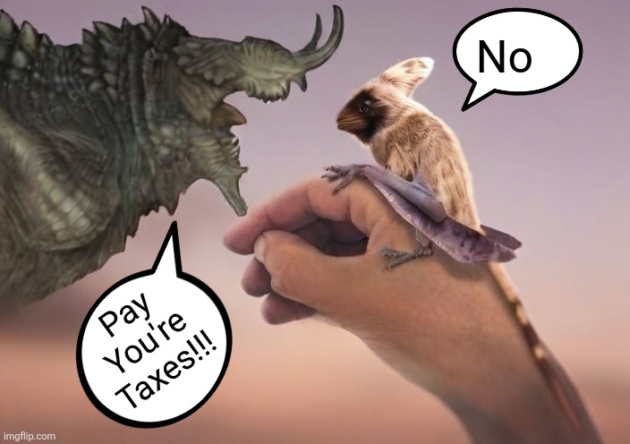I'm not a big fan of the government | No; Pay You're Taxes!!! | image tagged in angry dragon vs chill dragon,memes,virgin vs chad,funny,lol,humor | made w/ Imgflip meme maker