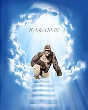 HarambeHeaven Blank Meme Template