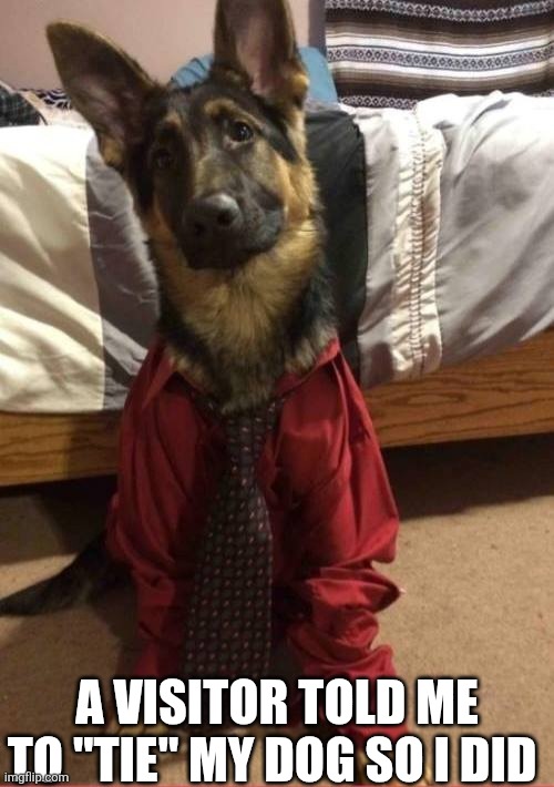 A Visitor Told Me To Tie My Dog So I Did | A VISITOR TOLD ME TO "TIE" MY DOG SO I DID | image tagged in chris joines | made w/ Imgflip meme maker