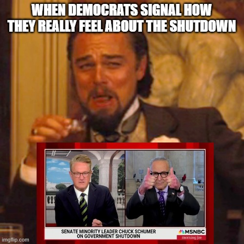 Laughing Leo | WHEN DEMOCRATS SIGNAL HOW THEY REALLY FEEL ABOUT THE SHUTDOWN | image tagged in memes,laughing leo | made w/ Imgflip meme maker