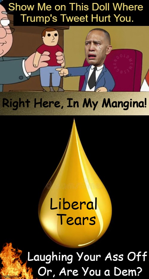 Hurt Feelz combined w/ TDS are a bad combo | Show Me on This Doll Where 
Trump's Tweet Hurt You. Right Here, In My Mangina! Liberal 
Tears; Laughing Your Ass Off; Or, Are You a Dem? | image tagged in donald trump,mean tweets,owie,jeffries,tears | made w/ Imgflip meme maker
