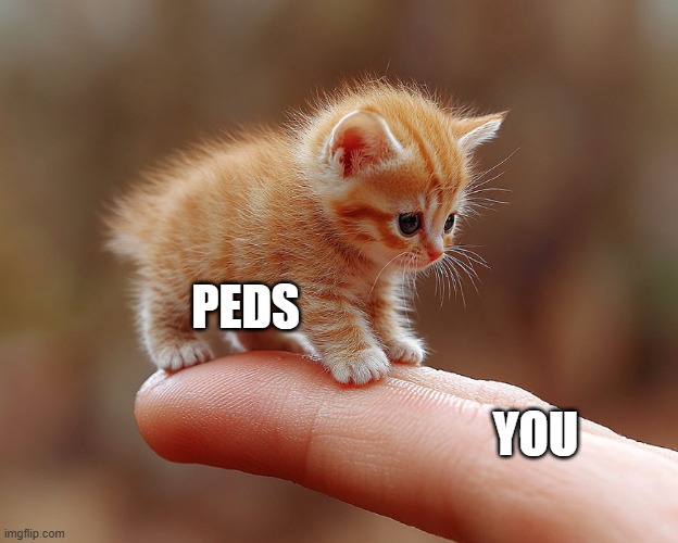 finger kitten | YOU PEDS | image tagged in finger kitten | made w/ Imgflip meme maker