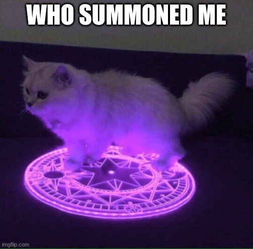 Who has summoned the almighty one | WHO SUMMONED ME | image tagged in who has summoned the almighty one | made w/ Imgflip meme maker