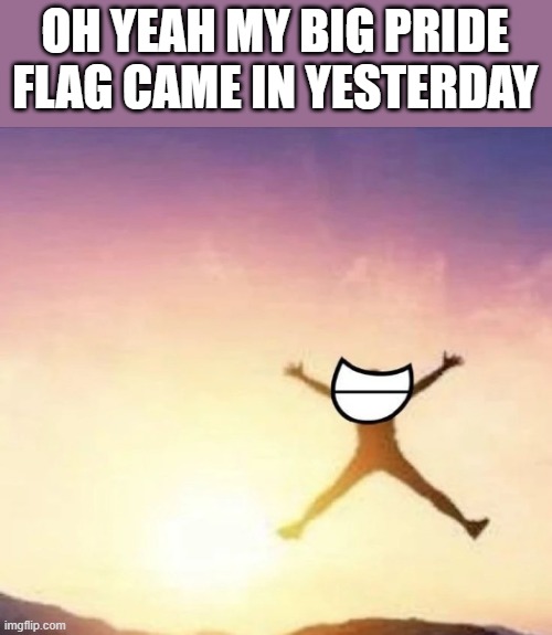 almost submitted this without the l in flag D: | OH YEAH MY BIG PRIDE FLAG CAME IN YESTERDAY | image tagged in yippee | made w/ Imgflip meme maker