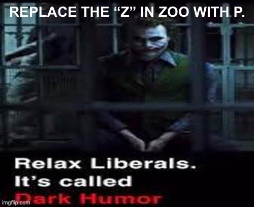 . | REPLACE THE “Z” IN ZOO WITH P. | made w/ Imgflip meme maker