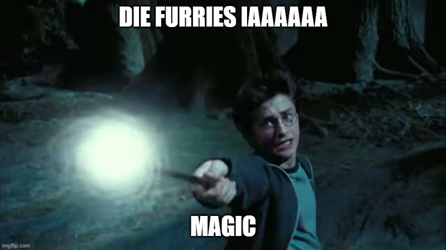 Expecto Patronum Harry Potter | DIE FURRIES IAAAAAA; MAGIC | image tagged in expecto patronum harry potter | made w/ Imgflip meme maker