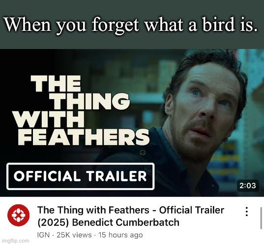 When you forget what a bird is. | image tagged in movies,benedict cumberbatch,funny memes,birds,haha | made w/ Imgflip meme maker