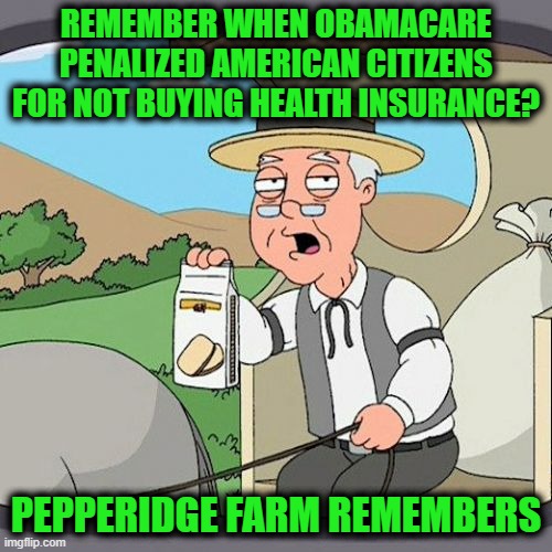 Affordable Care Act | REMEMBER WHEN OBAMACARE PENALIZED AMERICAN CITIZENS FOR NOT BUYING HEALTH INSURANCE? PEPPERIDGE FARM REMEMBERS | image tagged in memes,pepperidge farm remembers | made w/ Imgflip meme maker