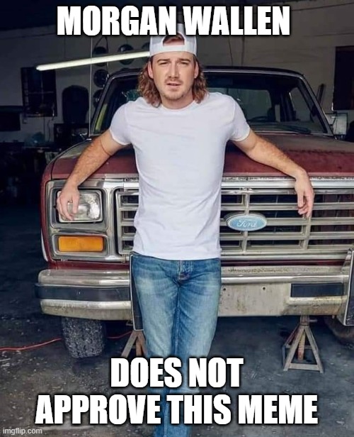 Morgan Wallen | MORGAN WALLEN DOES NOT APPROVE THIS MEME | image tagged in morgan wallen | made w/ Imgflip meme maker