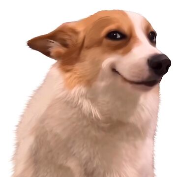 smile corgi meme Blank Meme Template