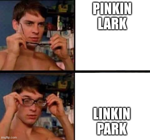 Blind | PINKIN LARK; LINKIN PARK | image tagged in peter parker's glasses | made w/ Imgflip meme maker