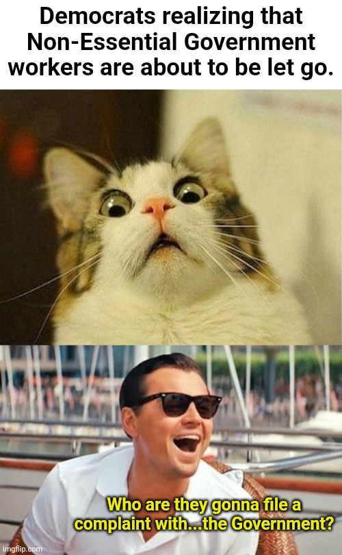 If only they knew swords were double edged... | Democrats realizing that Non-Essential Government workers are about to be let go. Who are they gonna file a complaint with...the Government? | image tagged in memes,scared cat,leonardo dicaprio wolf of wall street | made w/ Imgflip meme maker