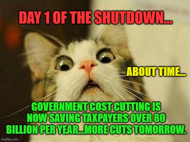 Scared Cat Meme | DAY 1 OF THE SHUTDOWN... ABOUT TIME... GOVERNMENT COST CUTTING IS NOW SAVING TAXPAYERS OVER 80 BILLION PER YEAR...MORE CUTS TOMORROW. | image tagged in memes,scared cat | made w/ Imgflip meme maker