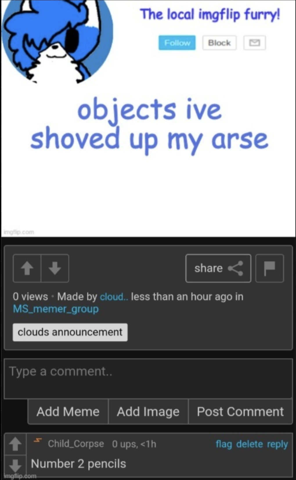 objects ive shoved up my arse Blank Meme Template