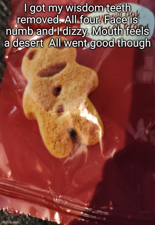 cookie 2 | I got my wisdom teeth removed. All four. Face is numb and I dizzy. Mouth feels a desert  All went good though | image tagged in cookie 2 | made w/ Imgflip meme maker