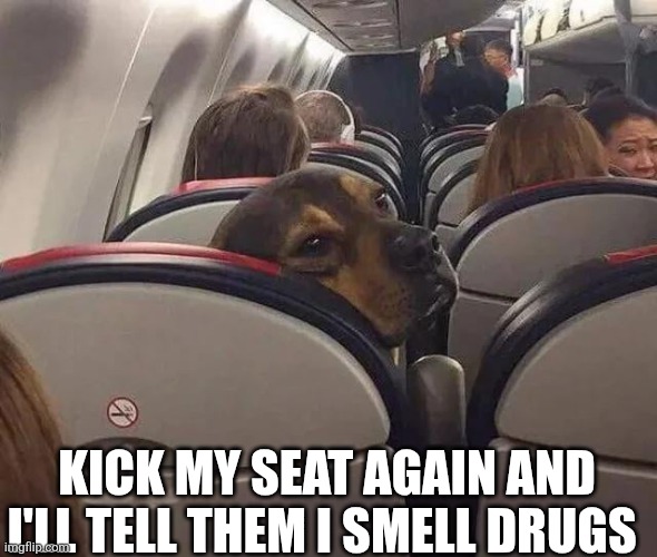Kick My Seat Again And I'll Tell Them I Smell Drugs | KICK MY SEAT AGAIN AND I'LL TELL THEM I SMELL DRUGS | image tagged in chrisjoines1 | made w/ Imgflip meme maker