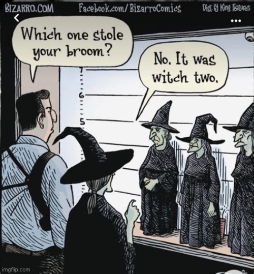 Bizarro Comics | image tagged in comics,bizarro comics,witches,police lineup,stolen broom | made w/ Imgflip meme maker