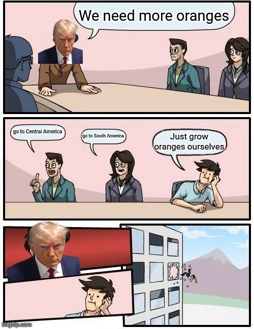Boardroom Meeting Suggestion Meme | We need more oranges; go to Central America; go to South America; Just grow oranges ourselves | image tagged in memes,boardroom meeting suggestion | made w/ Imgflip meme maker