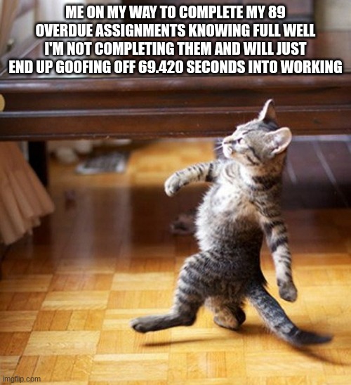 homework bad minecraft good. | ME ON MY WAY TO COMPLETE MY 89 OVERDUE ASSIGNMENTS KNOWING FULL WELL I'M NOT COMPLETING THEM AND WILL JUST END UP GOOFING OFF 69.420 SECONDS INTO WORKING | image tagged in cat walking like a boss | made w/ Imgflip meme maker