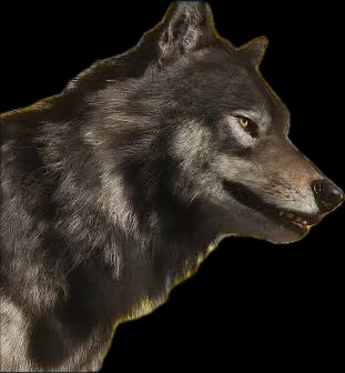 Ghost of Yotei Wolf Blank Meme Template