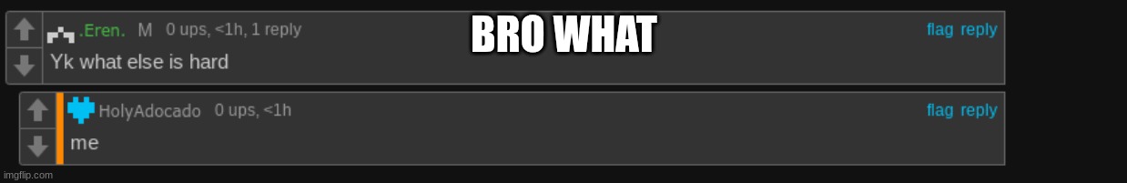 BRO WHAT | made w/ Imgflip meme maker