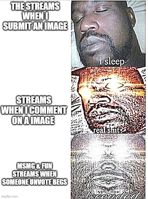 ascended | THE STREAMS WHEN I SUBMIT AN IMAGE; STREAMS WHEN I COMMENT ON A IMAGE; MSMG & FUN STREAMS WHEN SOMEONE UNVOTE BEGS | image tagged in i sleep meme with ascended template | made w/ Imgflip meme maker