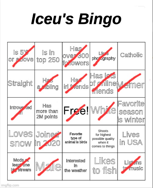 Iceu's Bingo | image tagged in iceu's bingo | made w/ Imgflip meme maker
