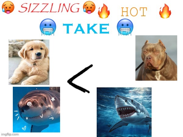 I honestly prefer cool stuff more than cute stuff | image tagged in sizzling hot take | made w/ Imgflip meme maker