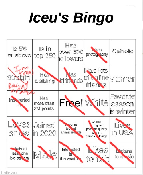 Iceu's Bingo | image tagged in iceu's bingo | made w/ Imgflip meme maker