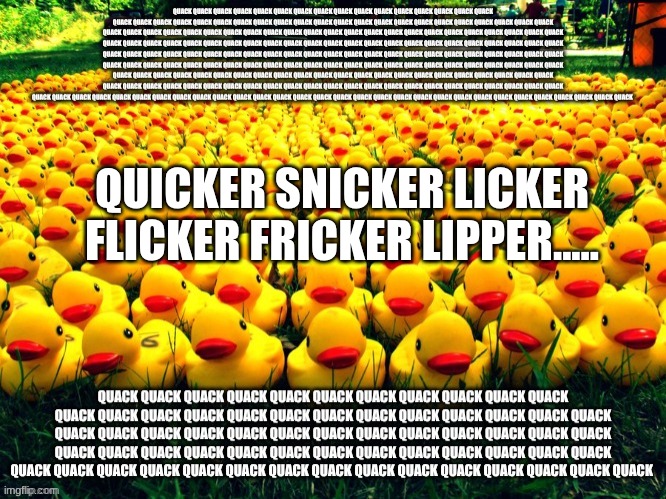 Quack | QUICKER SNICKER LICKER FLICKER FRICKER LIPPER..... | image tagged in my,school,is,elsiemacgill,publicschool,oshawa | made w/ Imgflip meme maker