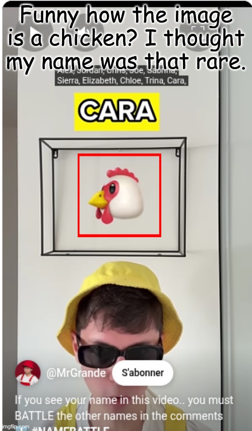CHICKEN?!?! | Funny how the image is a chicken? I thought my name was that rare. | image tagged in chicken,funny,youtube shorts,cara | made w/ Imgflip meme maker