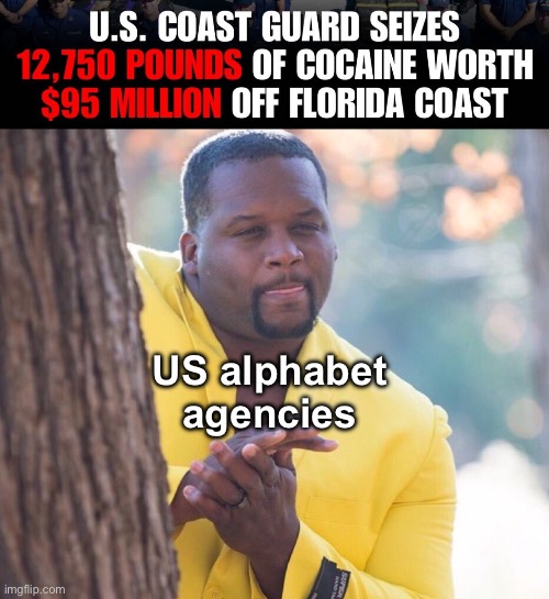 Some 3rd world destabilization $$$ | US alphabet agencies | image tagged in black guy hiding behind tree,politics lol,memes | made w/ Imgflip meme maker